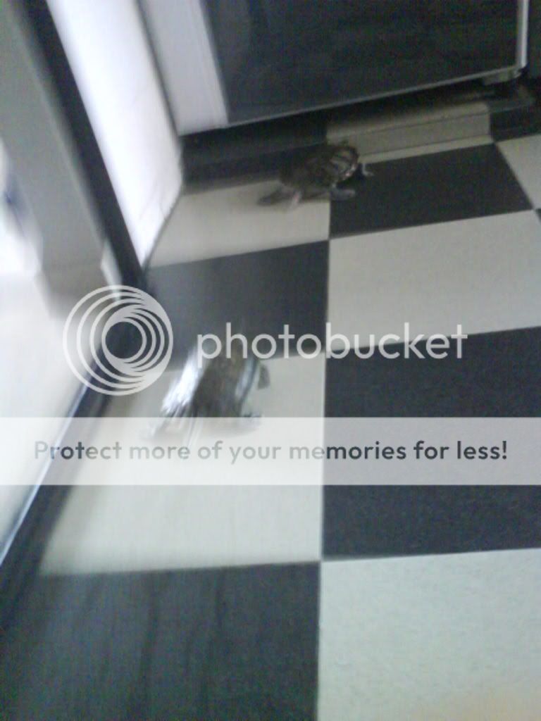 Photobucket - Video and Image Hosting
