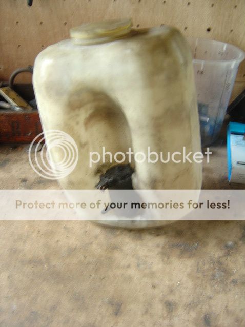 Posted Image