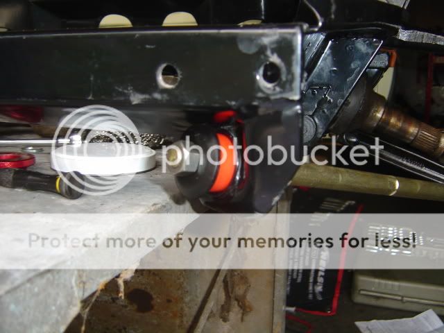Posted Image
