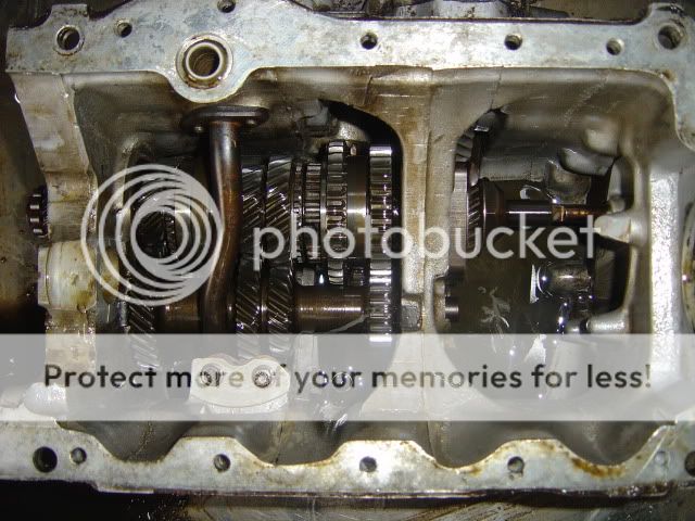 Posted Image