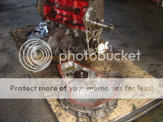 Posted Image