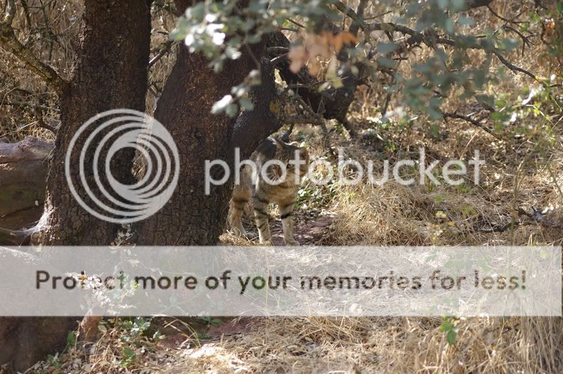  IGP1573 1?t1237859505