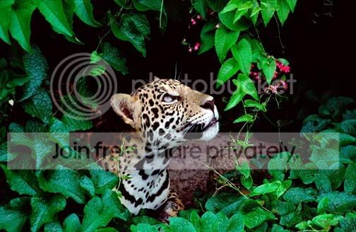 simply-awesome-animals-10-photos-pirate-s-cove-pirate-s-cove